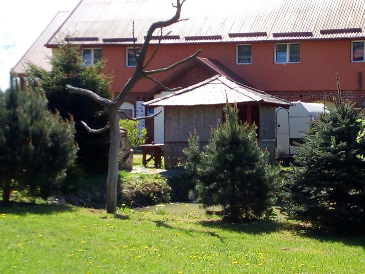 Agroturystyka Andrzejowka Czerniki Экстерьер фото
